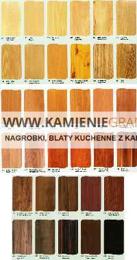 Szczecin bus do Holandii