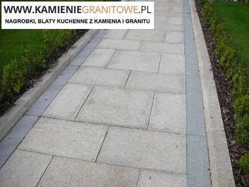 Holandia Chodzież tanie przewozy