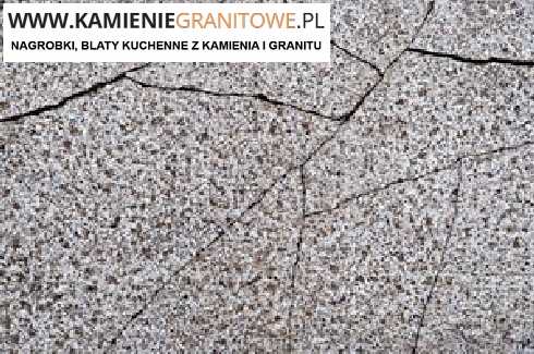 nowoczesna stajnia Piła