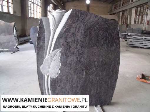 apartamenty basen SPA Sianozety