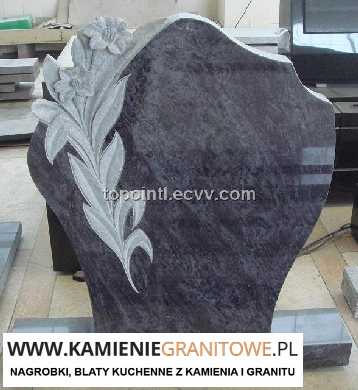 nowoczesna stajnia Piła