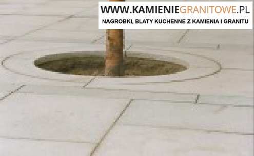 do Niemiec Wrocław bus tanio