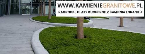 tani bus z Niemiec do Wrocławia