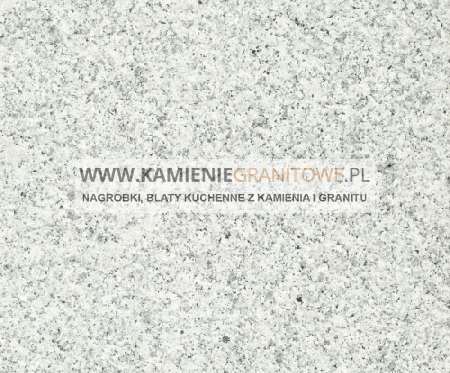 Holandia Międzyrzecz przewóz niedziela