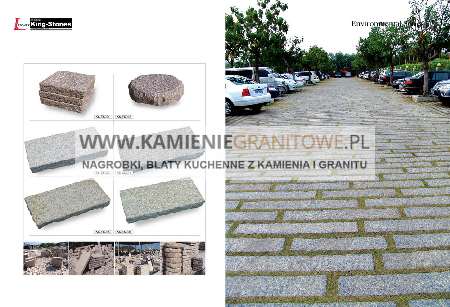 apartamenty SPA basen brodzik sauna mokra sucha jacuzii w Sianożętach