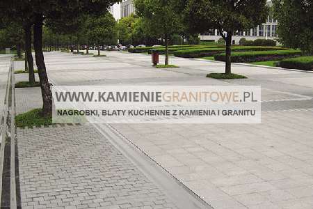 jazdy na koniu w Pile