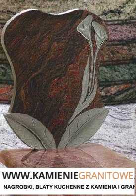 bus do Niemiec Wrocław od drzwi do drzwi