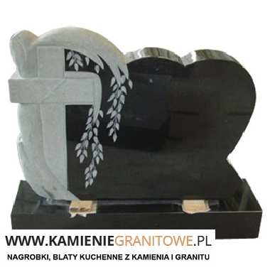 Holandia Trzcianka busy tanio