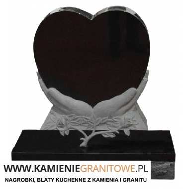 wyjazd do Holandii Chodzież busy