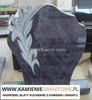 Holandia Poznań tani przewóz