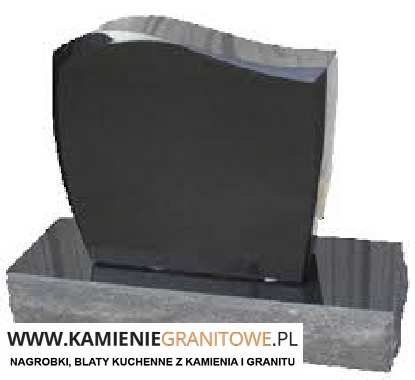 bus do Holandii Szczecin przewozy