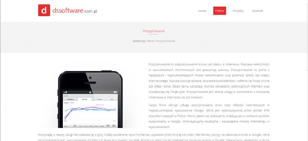 projektowanie strony www Piła